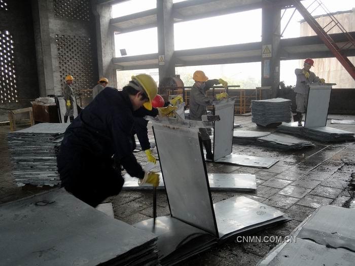 華錫來冶公司2012年元月0#鋅產出率達78%，超出集團公司當月考核任務的28%，為2012年安全、質量生產工作打開良好勢頭。圖為電解員工按標準化操作要求進行剝鋅工作