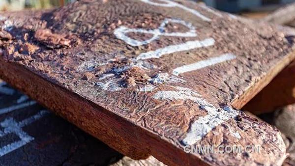 卡莫阿銅業(yè)已于近日取得所有必要的銅精礦出口許可，并按照公平競(jìng)爭(zhēng)條款，就卡莫阿-卡庫(kù)拉銅礦一期一序列100%產(chǎn)量與紫金礦業(yè)全資子公司金山香港和中信金屬簽署各50%產(chǎn)量的包銷協(xié)議。