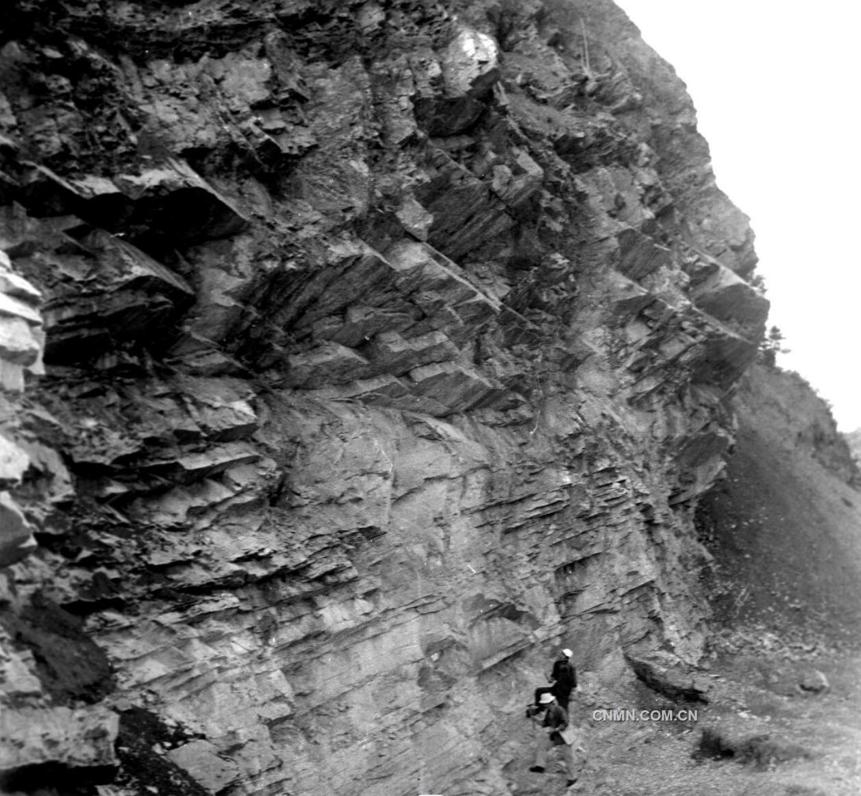 10山石擊碎真瓊瑰(1985年攝)