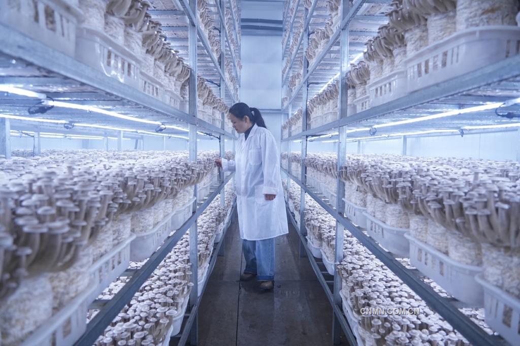 微信圖片_20250414155737