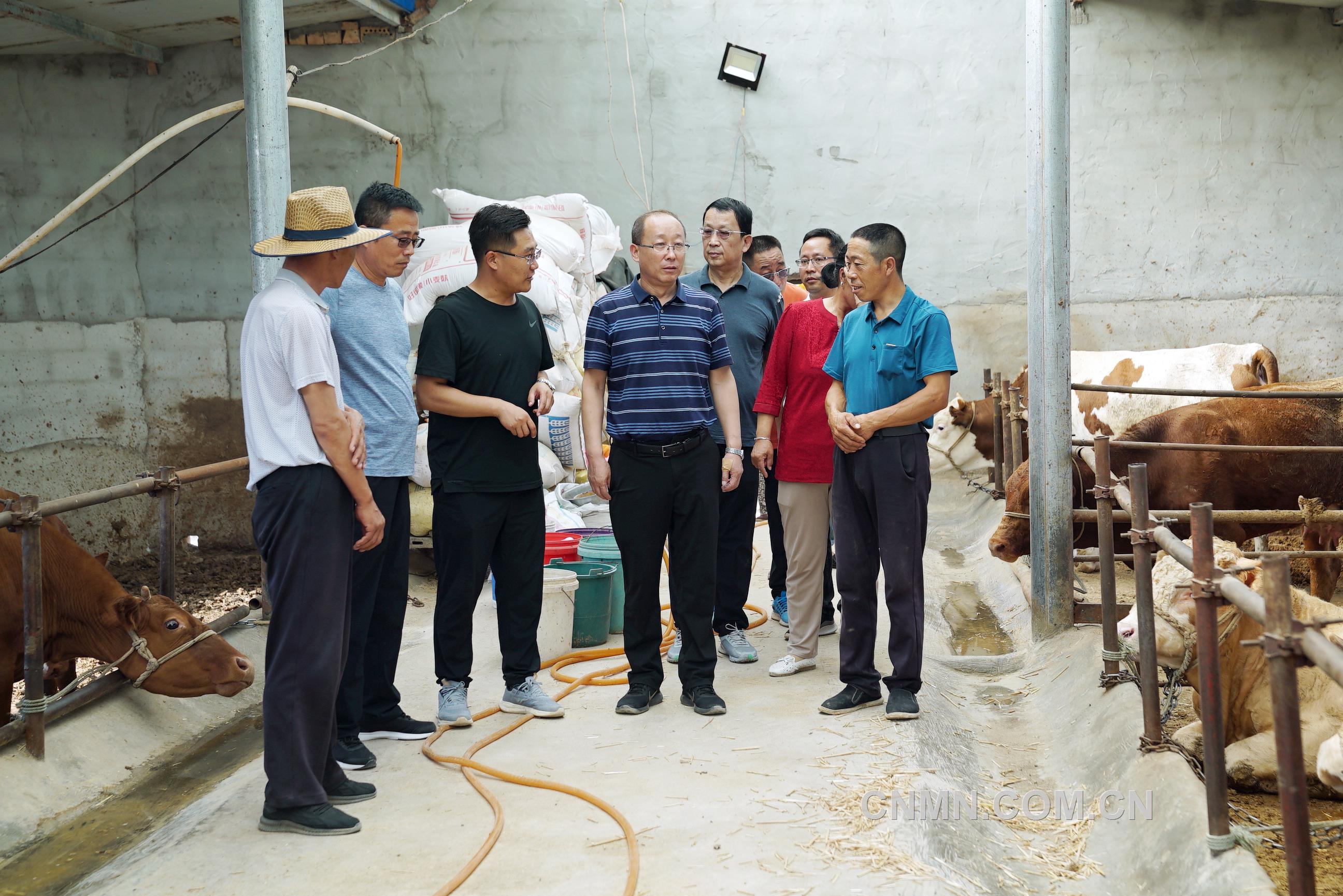 中色東方黨委書記、董事長李春光赴固原市西吉縣調研定點幫扶工作3