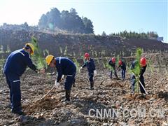 昔日礦山今日新綠